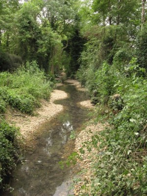 cherry_hinton_brook_improvement